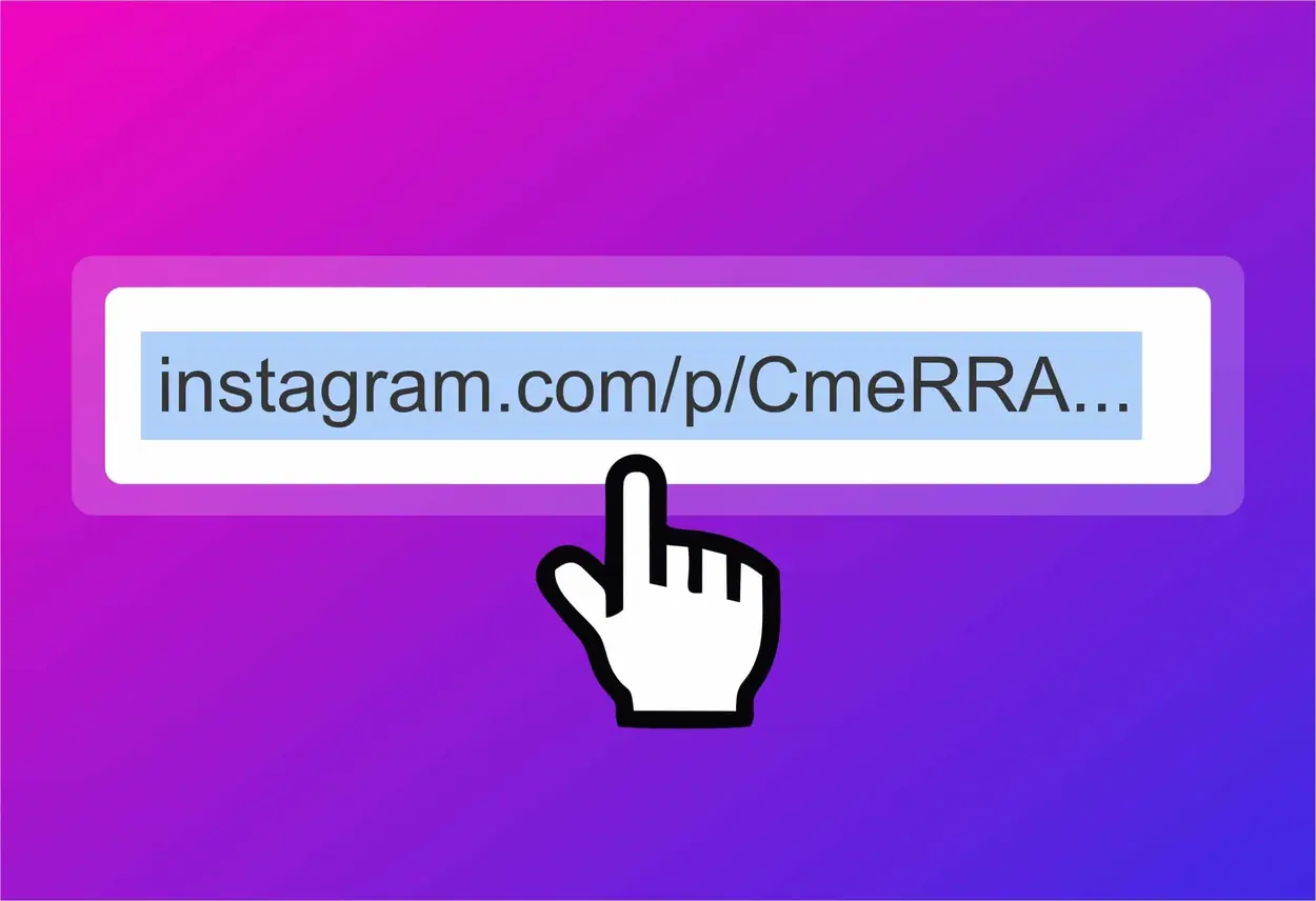 Instagram video downloader