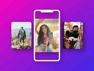 Instagram Story Downloader